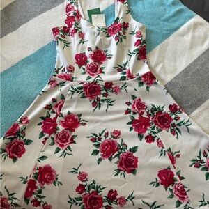 BRAND NEW Floral Rose Mini Dress Juniors - Size 6 - Tags Still on